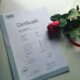 WhatsApp(+371 204 33160)Buy B1 GOETHE-TELC A1 Deutsch ZERTIFIKAT online in germany