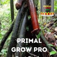 Thumbnail for the listing's main image