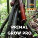 Get Massive Penis Size With Congo Dust In Montreal City in Canada Call +27710732372 Buy Herbal Now